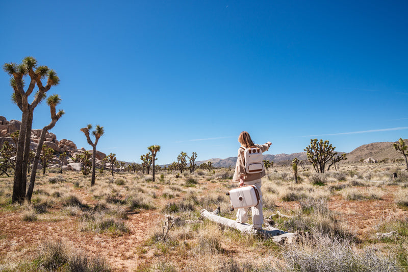 Hardside vs Soft-Sided Luggage: Which Suitcase Is Best?