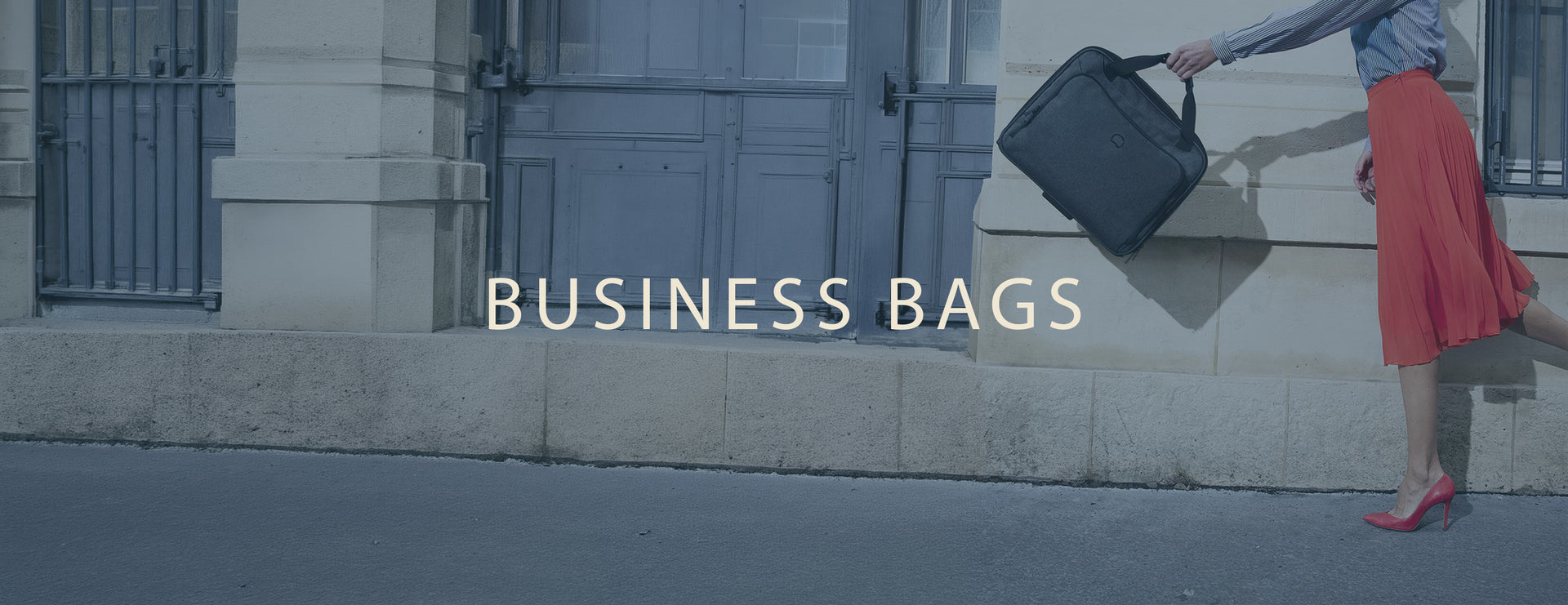 Business Bags banner