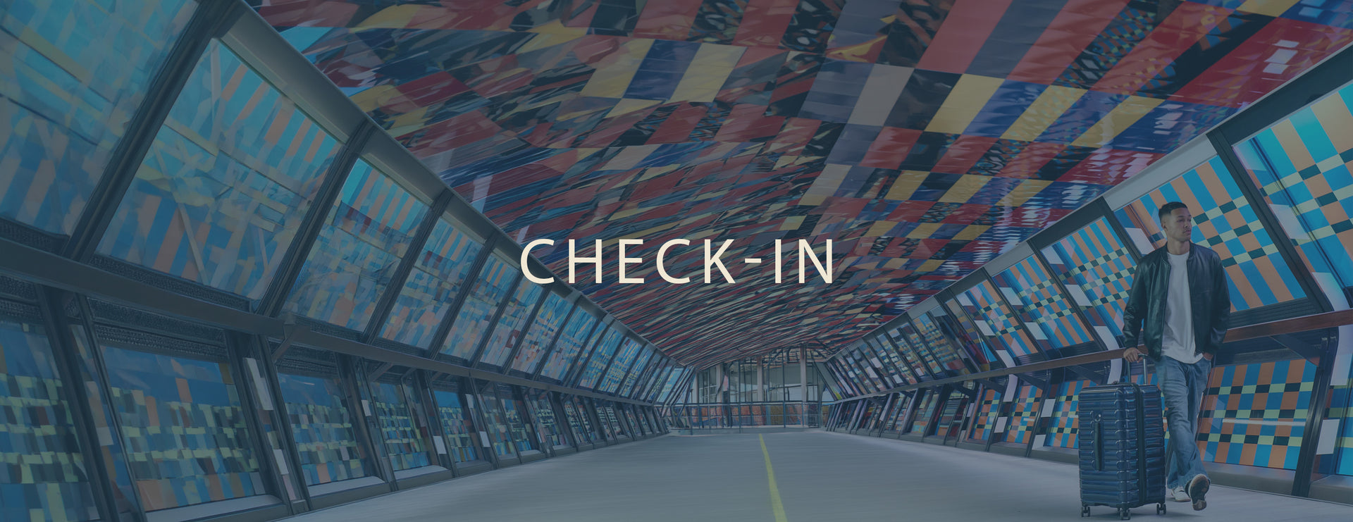 Check-In Luggage banner