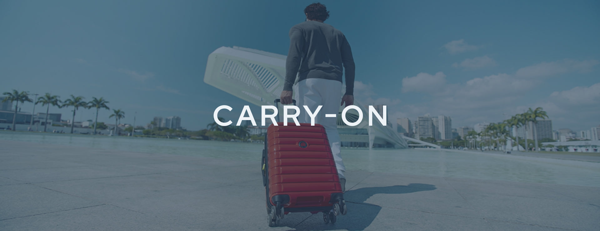 Carry-On Luggage banner