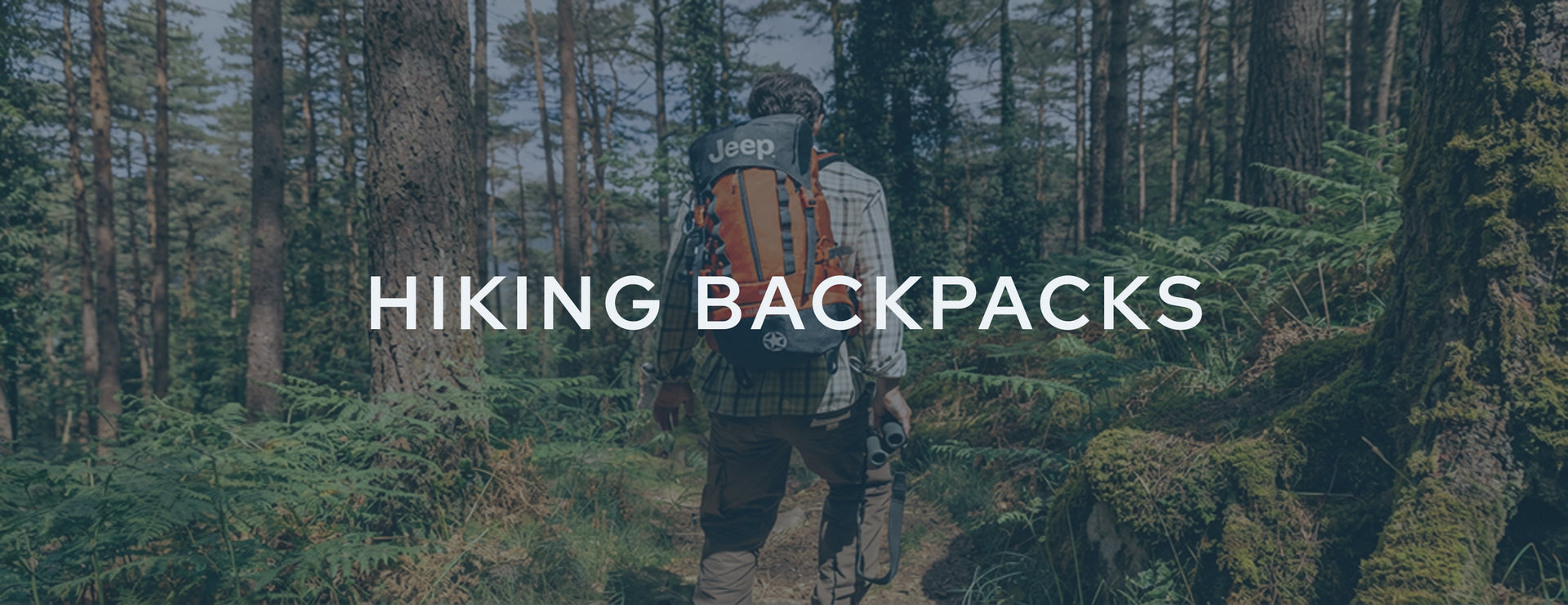 Hiking Backpacks banner