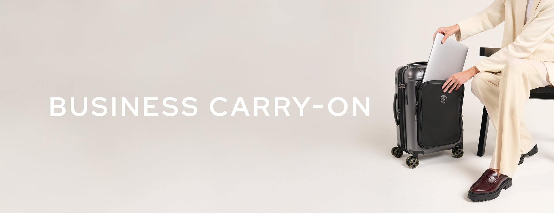 Business Cabin Luggage banner