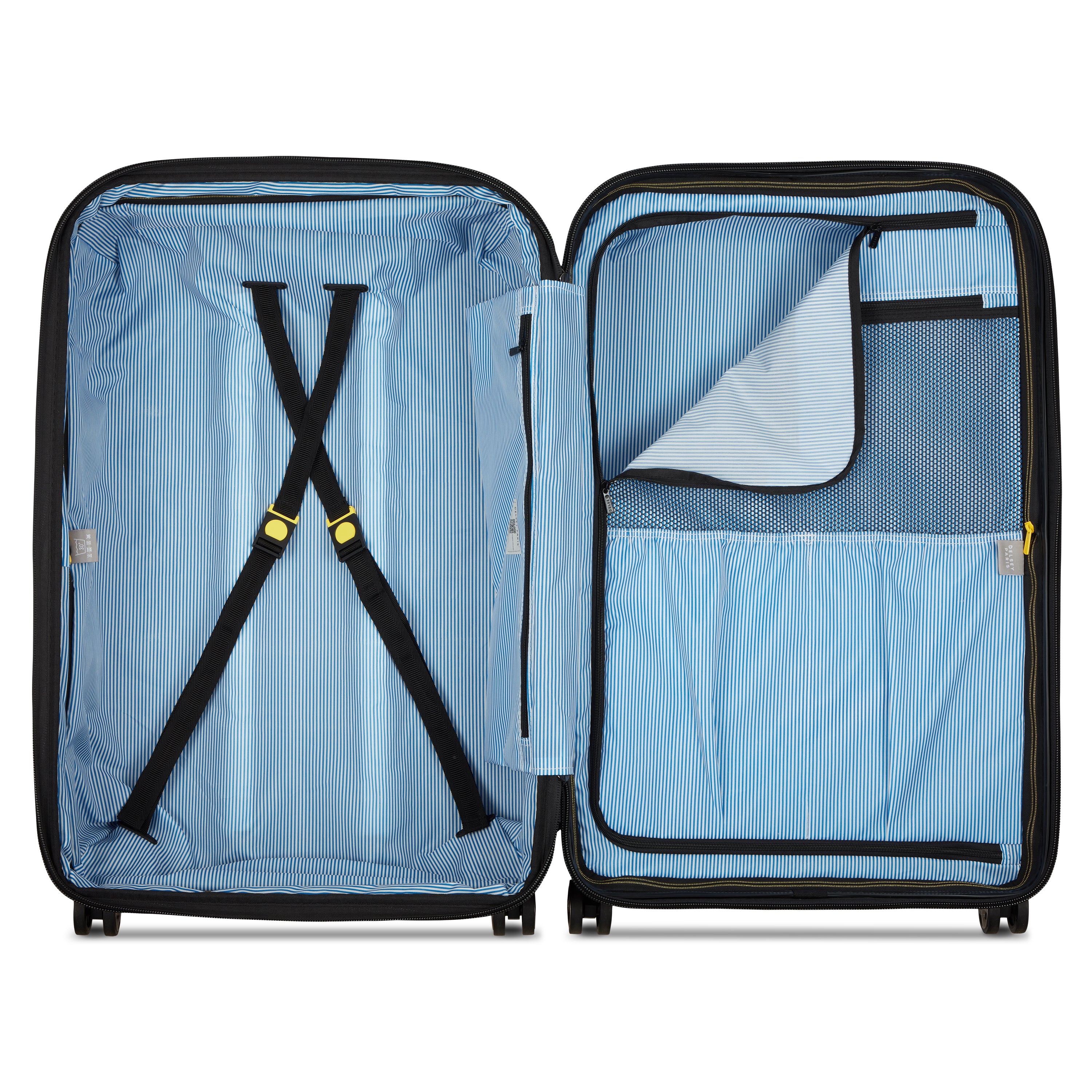 Delsey Paris CARROUSEL 2 - Check-in Suitcase - M Expandable (67cm)