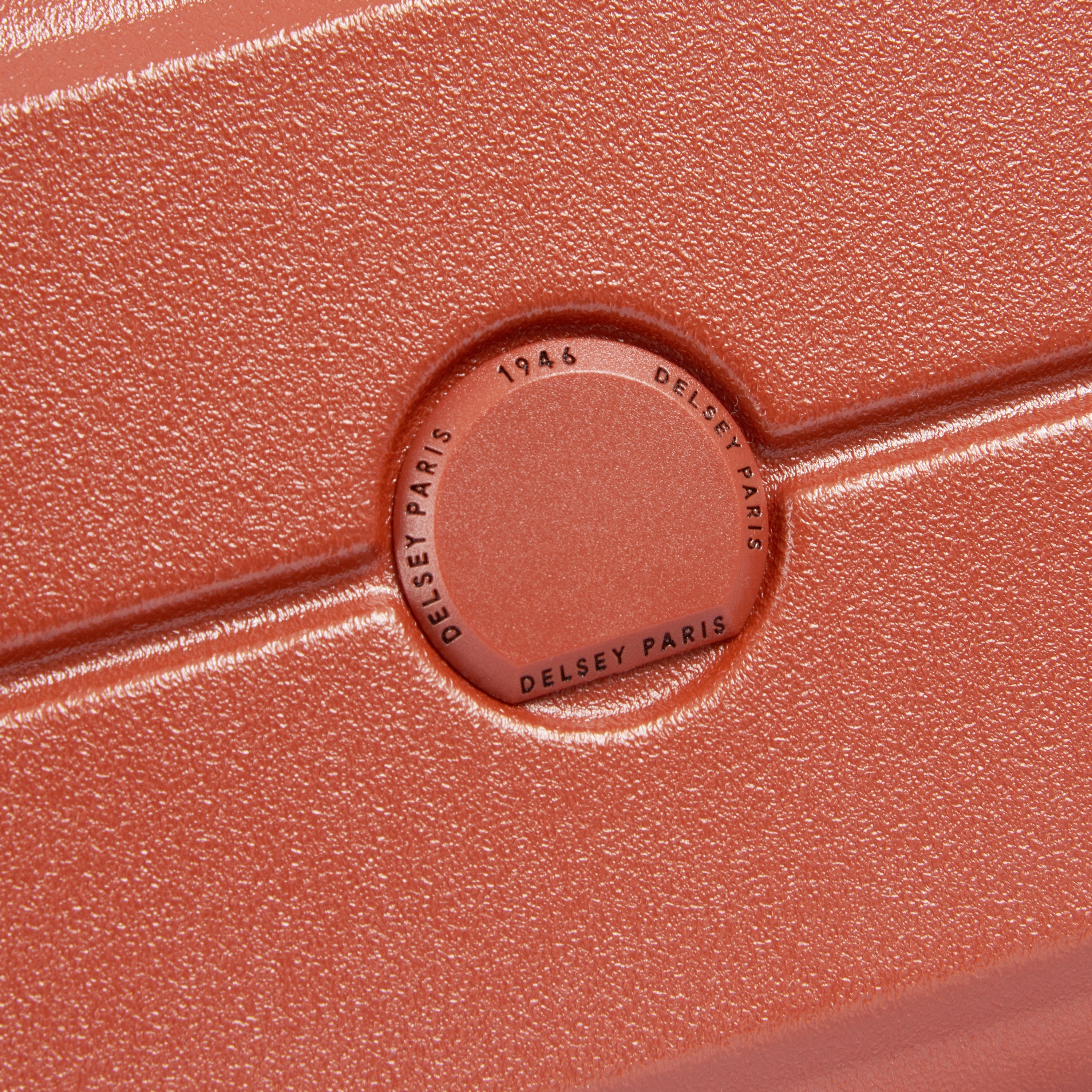 Delsey Paris Turenne 2.0 Urban Clutch Travel Pouch in Brown