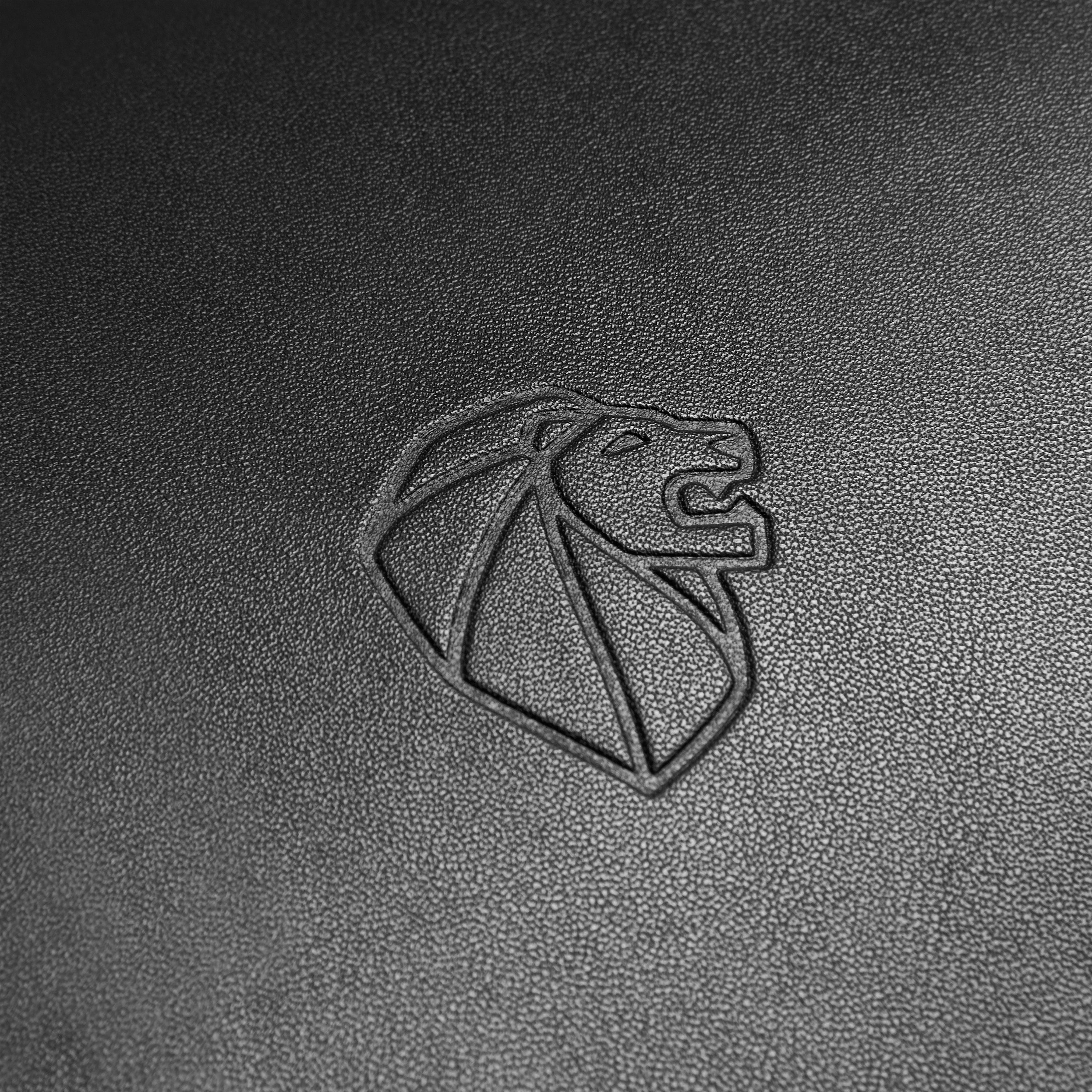 Peugeot Voyages 46cm Travel Laptop Backpack in Beige- logo in detal